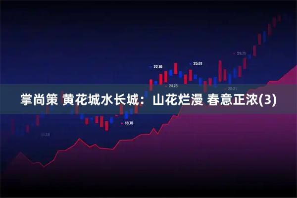 掌尚策 黄花城水长城：山花烂漫 春意正浓(3)