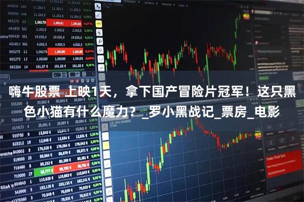 嗨牛股票 上映1天，拿下国产冒险片冠军！这只黑色小猫有什么魔力？_罗小黑战记_票房_电影