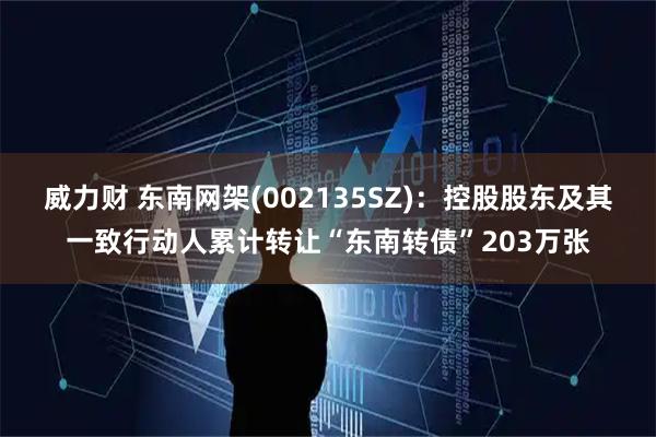 威力财 东南网架(002135SZ)：控股股东及其一致行动人累计转让“东南转债”203万张